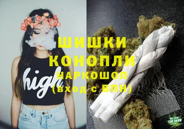 гашиш Богданович