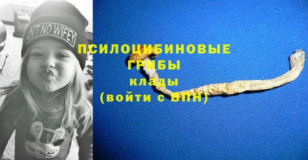 первитин Богородск