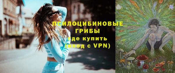 гашиш Богданович
