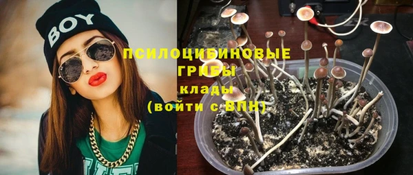 apvp Беломорск