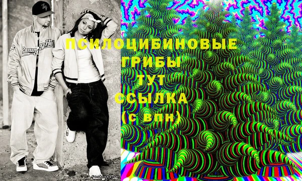 гашиш Богданович