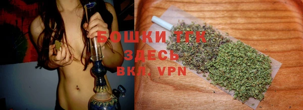 гашиш Богданович